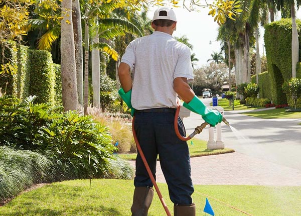 About Broken Arrow OK Pest Control Pros